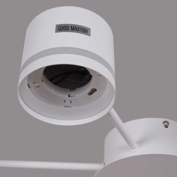 Люстра Reluce 06730-0.3-06 GX53 WT