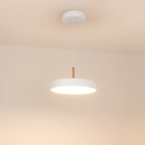 Подвесной светодиодный светильник Arlight SP-Elegant-R300-17W Warm3000 033914(1)