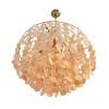 Люстра Lumion SHELLA 8386/6