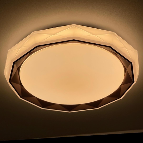 Потолочный светодиодный светильник Profit Light 2070/450 WH+CR RGB