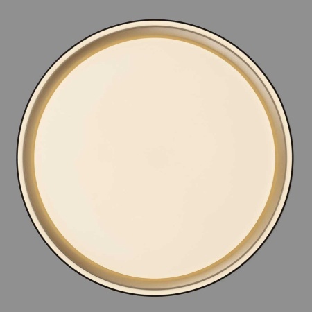 Потолочный светодиодный светильник Citilux Boss CL751251G