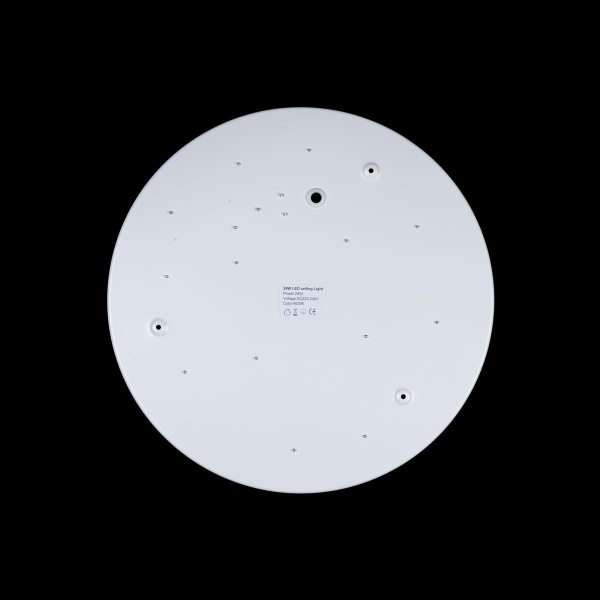 Потолочный светодиодный светильник Loft IT Axel 10003/24 white