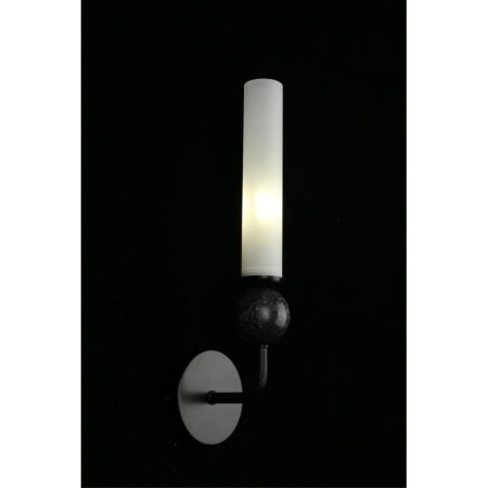 Светильник настенный Aployt Gienia APL.339.01.01