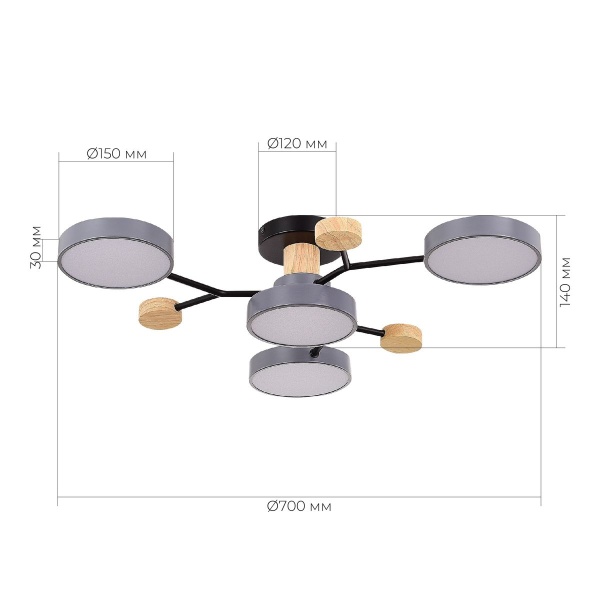 Потолочная светодиодная люстра Evoluce FAEMA SLE6006-702-04