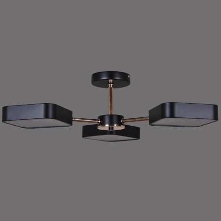 Светильник потолочный Reluce 03360-0.3-03 BK+FGD