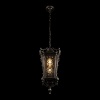 Уличный подвесной светильник Loft IT Tremezzo 100019P BS