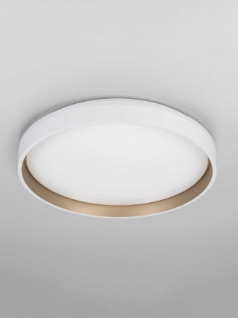 Светильник потолочный Citilux ENZO CL753450G