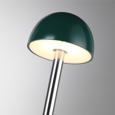 Уличный светильник Odeon Light Nature 7122/4GL