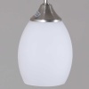 Потолочная люстра Reluce 08037-0.3-06 SN