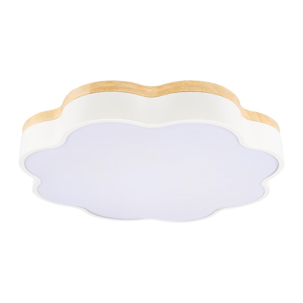 Потолочный светодиодный светильник Loft IT Axel 10225/36 White