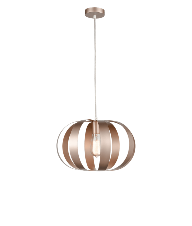 Подвесной светильник Vele Luce Ophir VL5324P21