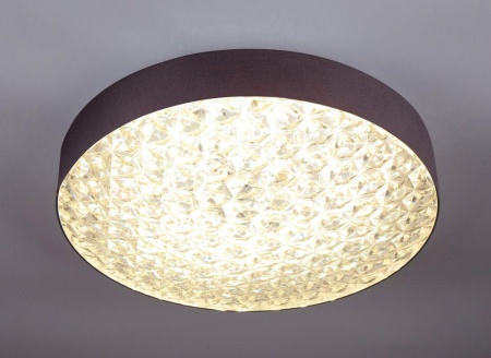 Потолочный светодиодный светильник Escada 10246/1LED