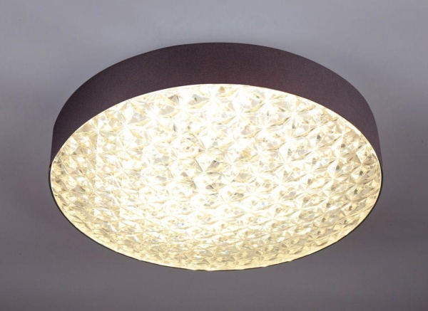 Потолочный светодиодный светильник Escada 10246/1LED