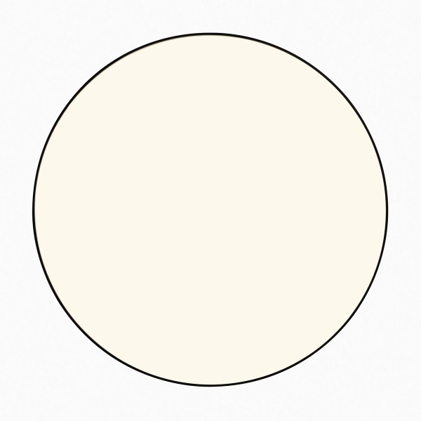 Потолочный светодиодный светильник Citilux Bart CL755391