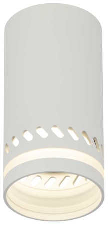 Настенно-потолочный светильник ЭРА OL50 WH Б0059802