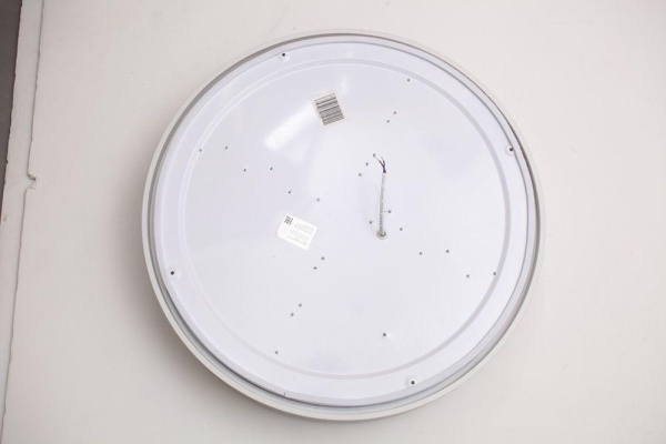 Потолочный светодиодный светильник Escada 10246/1LED