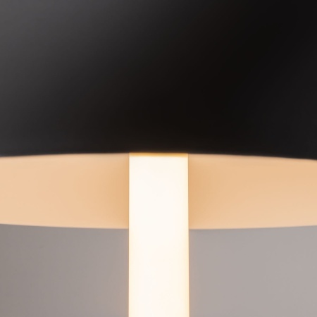 Настольная лампа Maytoni Ray Z012TL-L8B3K