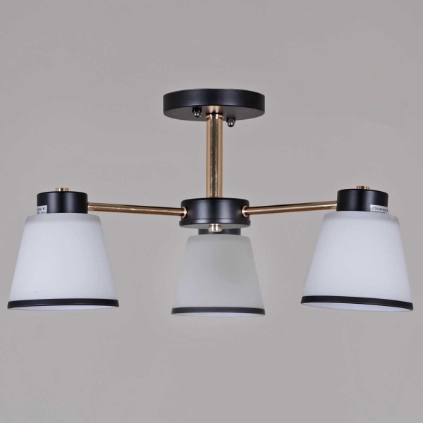 Потолочная люстра Reluce 30560-0.3-03 BK+FG