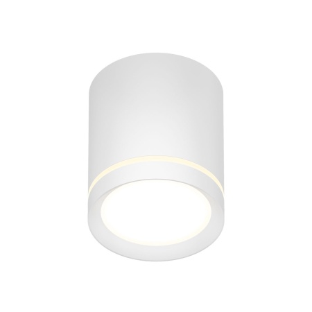 Накладной светодиодный светильник Denkirs Ribe DK4016-WH