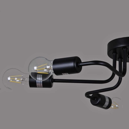 Светильник потолочный Reluce 01736-0.3-06 BK