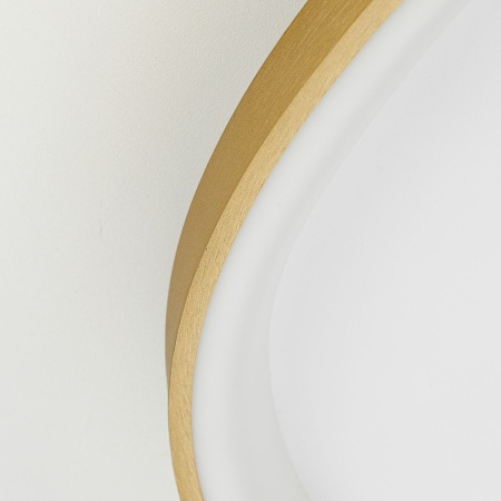 Потолочный светодиодный светильник Citilux Genka Smart CL756A162