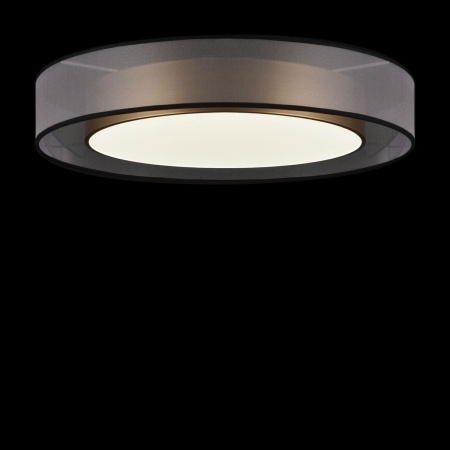 Потолочный светодиодный светильник Freya Zoticus FR6005CL-L48G