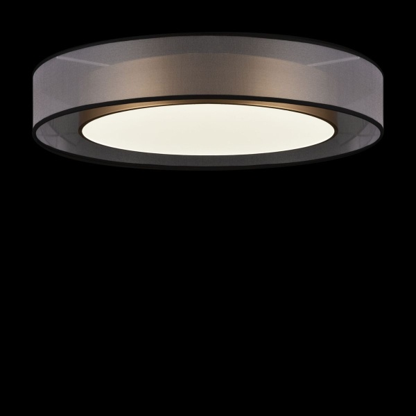 Потолочный светодиодный светильник Freya Zoticus FR6005CL-L48G