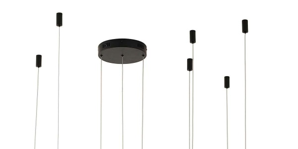 Подвесной светильник Zortes RINGOLIGHT ZRS.33320.120F