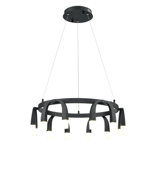 Подвесной светильник Vele Luce Negro VL7102P12