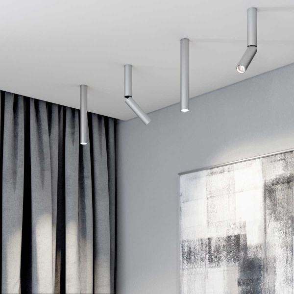 Потолочный светодиодный светильник Elektrostandard Pika 25030/Led серебро a061121