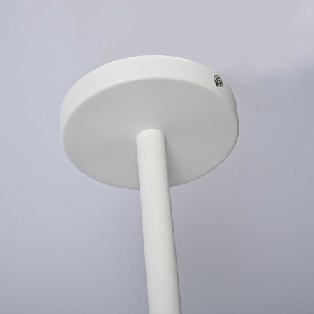 Подвесная люстра Imperium Loft Natura 101826-26