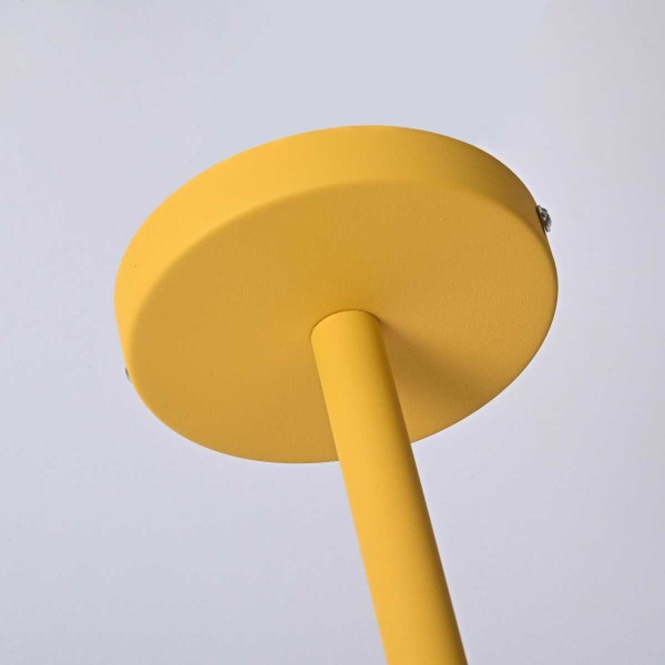 Подвесная люстра Imperium Loft Natura 101825-26