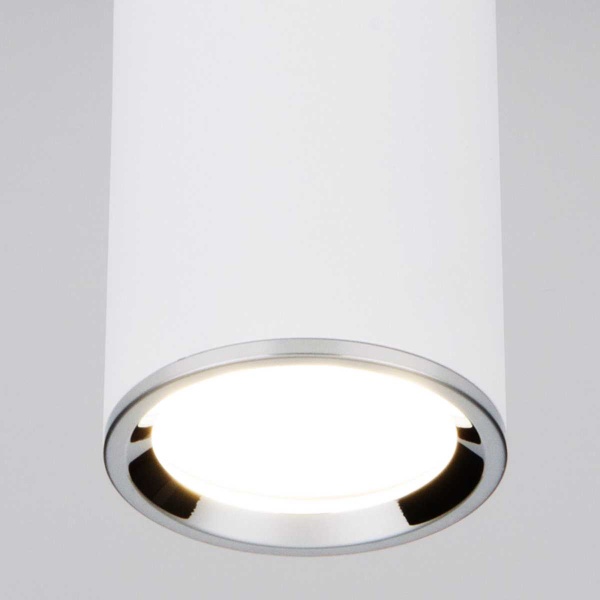 Потолочный светильник Elektrostandard DLN101 GU10 WH белый a043967