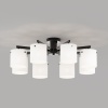 Потолочная люстра Eurosvet Glimmer 501001/8 черный жемчуг a072605