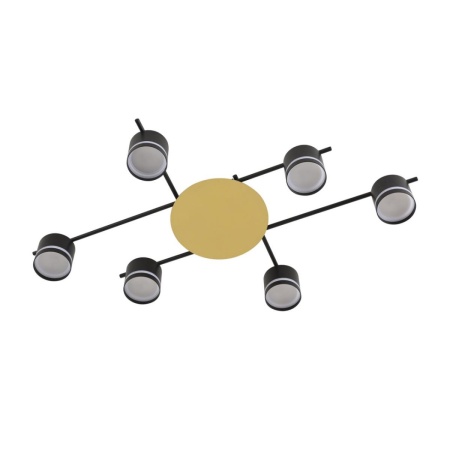 Светильник потолочный Lumion BENUA 8304/6C