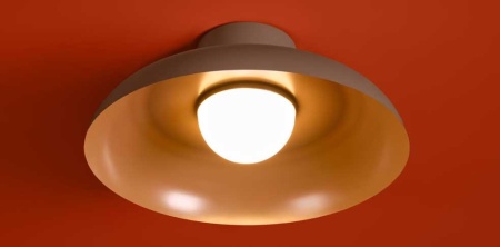 Потолочный светильник Freya Modern Movement FR5602CL-L10BR