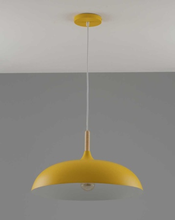 Светильник подвесной Moderli Hygo V10653-1P