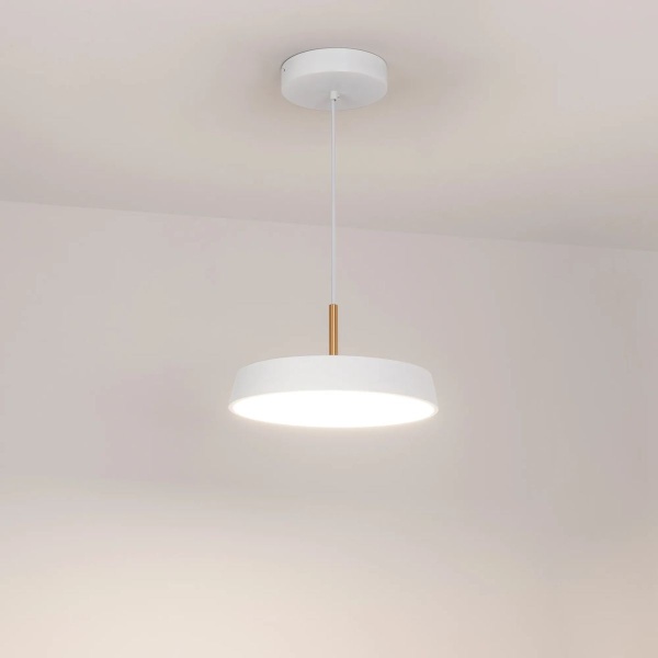 Подвесной светодиодный светильник Arlight SP-Elegant-R300-17W Day4000 033919(1)