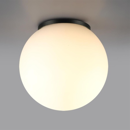 Потолочный светильник Odeon Light NATURE 7124/1C