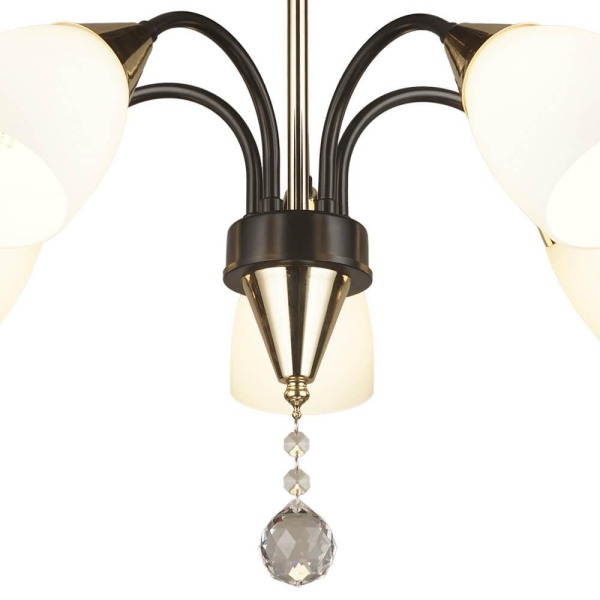 Потолочная люстра Seven Fires Tasita 66613.01.15.05