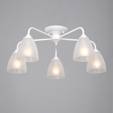 Потолочная люстра Vitaluce V3946-0/5PL