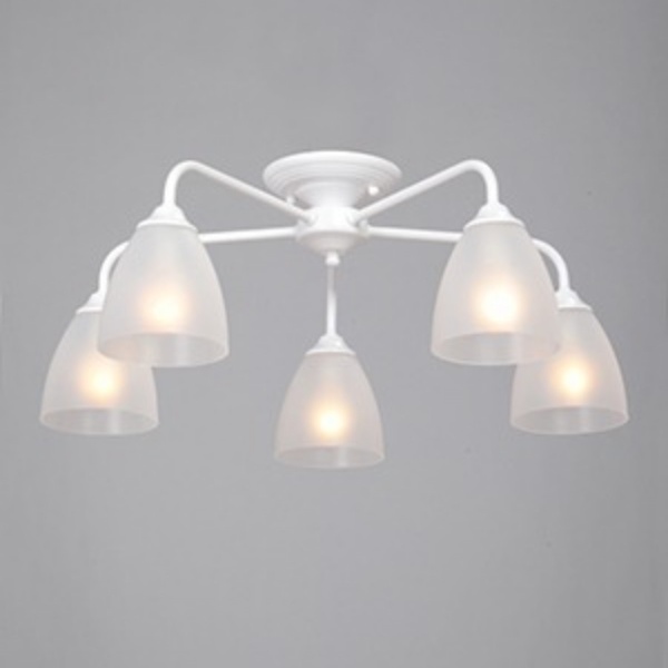 Потолочная люстра Vitaluce V3946-0/5PL