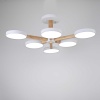 Потолочный светильник Imperium Loft TURNA-B01 141108-26