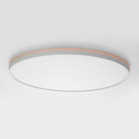 Потолочный светильник Citilux NORMA CL749500