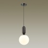 Подвесной светильник Odeon Light Pendant Okia 4668/1