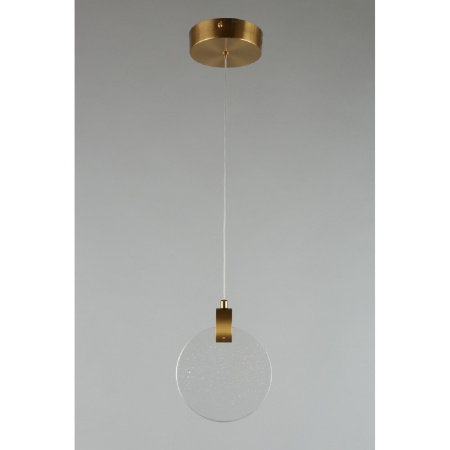 Подвесной светодиодный светильник Aployt Frederik APL.054.06.05