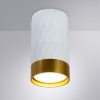 Потолочный светильник Arte Lamp Fang A5558PL-1WH