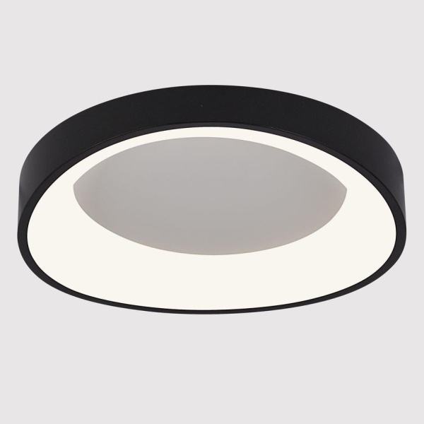 Потолочный светодиодный светильник Arte Lamp Sualocin A2698PL-48BK