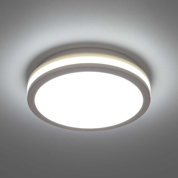 Светильник накладной Citilux LUNS CL711010V