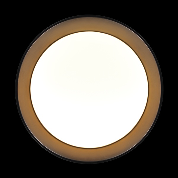 Потолочный светильник Loft it Coin 10202 BB